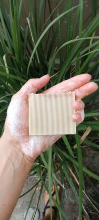 Image 1 of Hand and Body Soap- Cedarwood + peppermint 