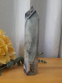 Image 7 of 1.15lb Black Agate Tower Natural Healing Crystal 