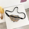 Fashion Fanny