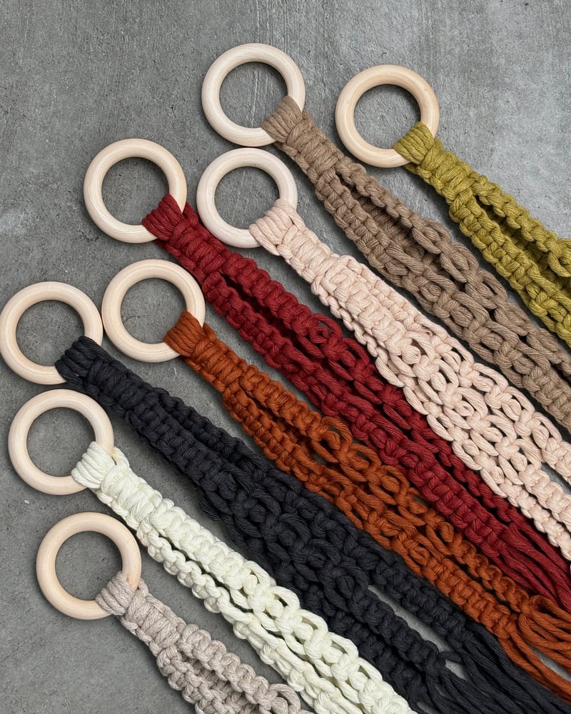 Image of Mini Plant Hangers