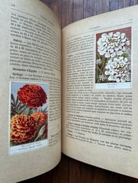Image 16 of Le jardin d’agrément, L-J.Troncet, édition Larousse, 1908