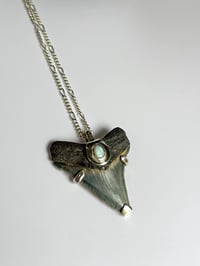 Image 3 of Megalodon Pendant with Australian Opal 