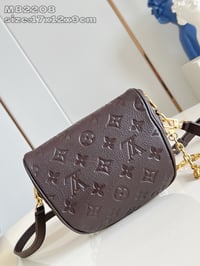 Image 15 of LV Mini Bumbag