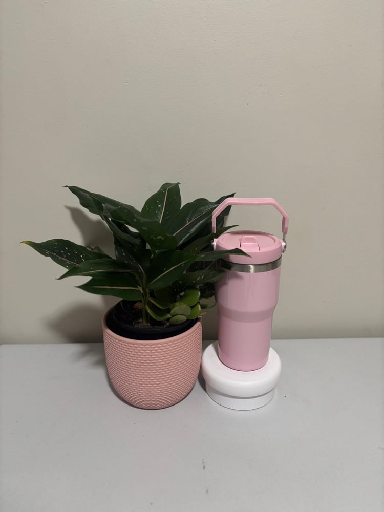 Gloss Drink Bottle (20oz)
