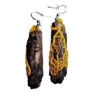 Slime mold earrings 