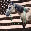 Image 5 of Halter and Lead Combo