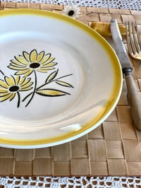 Image 3 of 10 assiettes plates - Années 50