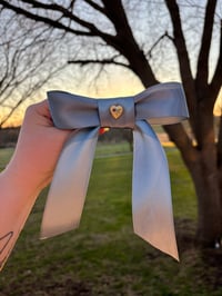 Image 1 of Spring Bows
