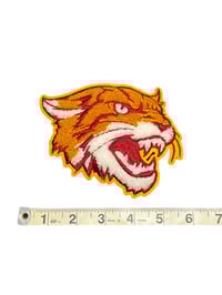 Image 2 of Bethune-Cookman - Big Beautiful Chenille Patch