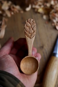 Image 3 of Falling Leaves Coffee   Scoop 