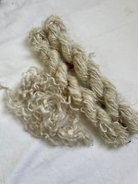 Image 1 of Lincoln Lamb Yarn