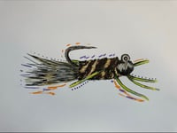 TJ Hooker Stonefly
