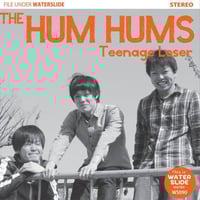 Image 1 of The Hum Hums – Teenage Loser CD