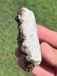 Image 9 of Smoky Quartz & Garnet Cluster On Feldspar Matrix #2484