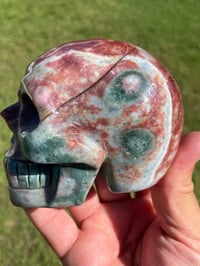 Image 3 of Ocean Jasper Skull #1760