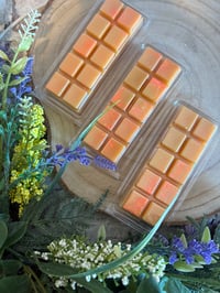 Carrot Cake Snap Clam