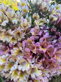 Image 3 of Spring Bouquet