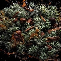 Image 3 of Handmade 2oz Body Oil Inspired By Kilian Straight To Heaven (Unisex)