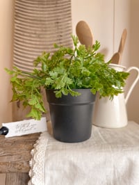 Image 1 of Faux Potted Parsley 