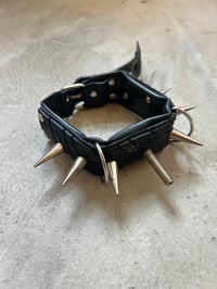 Image 1 of fuck u collar