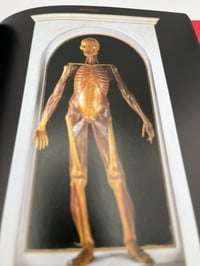 Image 4 of Anatomical Waxes. 45th Ed.