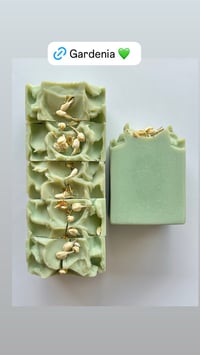 Image 2 of Gardenia 