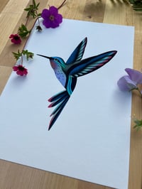 Image 4 of Colibri