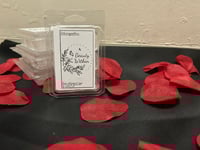Image 1 of Beauty within wax melt