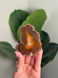 Image 1 of CONDOR AGATE -ARGENTINA- C