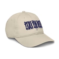 Image 2 of TRICK THE DEVIL CAP