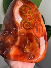 Image 3 of XXL BANDED CARNELIAN FREEFORM -MADAGASCAR- 