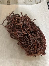 Image 1 of Irish seamoss wildcrafted 