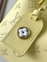 Image 16 of LV Bundle Bag