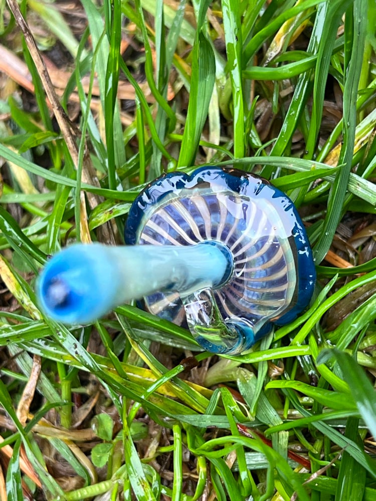 Image of Wavy Blue Staining Mushroom Pendant