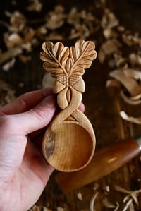 Image 4 of The Oak And Acorn Special Scoop