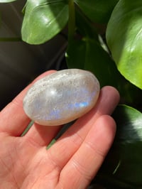 Image 5 of Moonstone Palm Crystal (9)