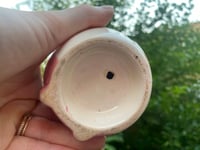 Image 4 of Thanksgiving Cactus in Cute Pink Monster