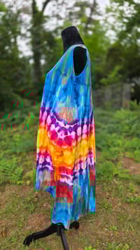 Image 4 of Birds of Paradise