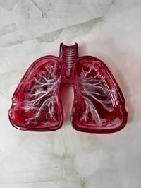 Image 3 of "Lungs" Ashtray