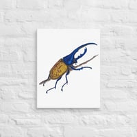 Image 5 of Canvas of Hercules Beetle