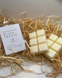 Blood orange  clamshell wax melts