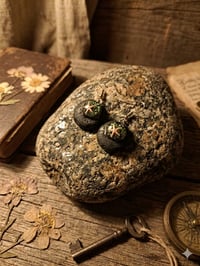 Image 2 of Stars 🌟 