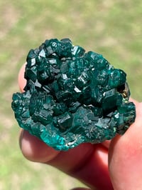 Image 2 of Dioptase Specimen #2539