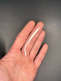 Image 2 of 3” Tapered Trout Worm “White” 