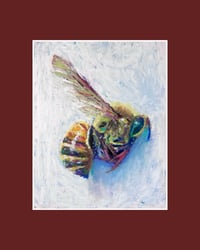 Image 1 of “Dead Bee”