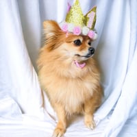 Image 3 of Gold Birthday Crown 