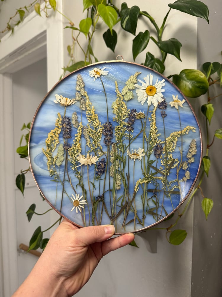 Wildflower field with Daisies