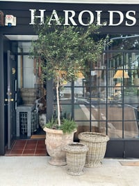 Image 3 of Parterre Basket