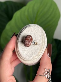 Image 2 of LAGUNA LACE AGATE RING I .925 SS SIZE 6