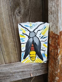 Image 4 of Lightning Bug